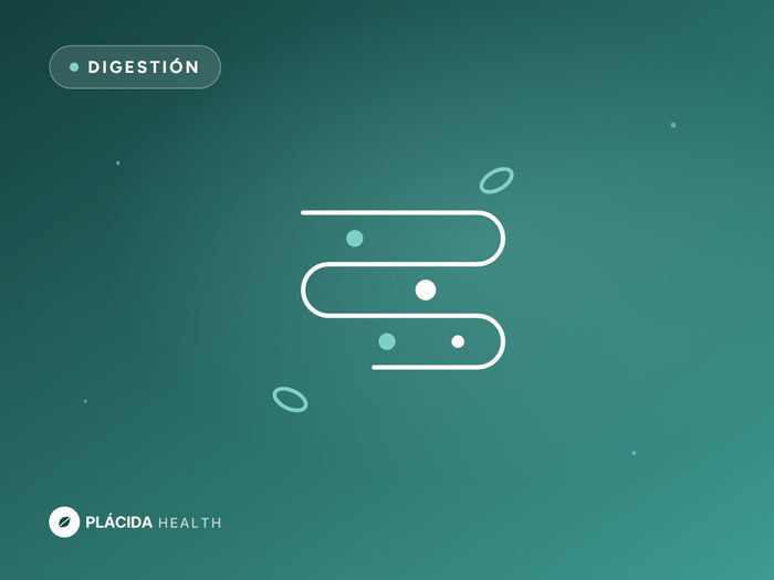 La barriga que se hincha después de los 40: estrógeno, intestino y grasa