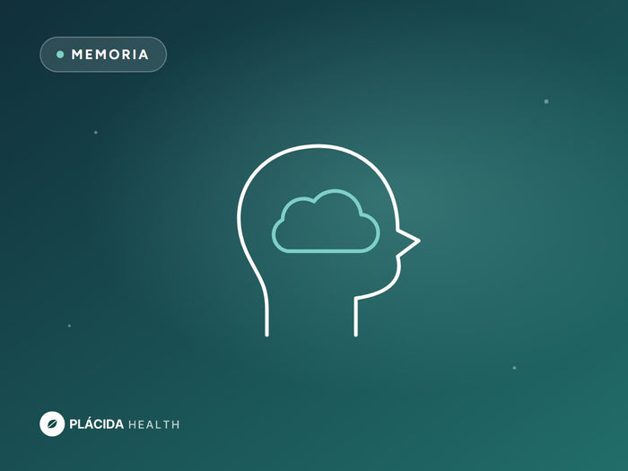 Niebla mental en la menopausia: por qué se te olvidan las cosas y cuándo mejora